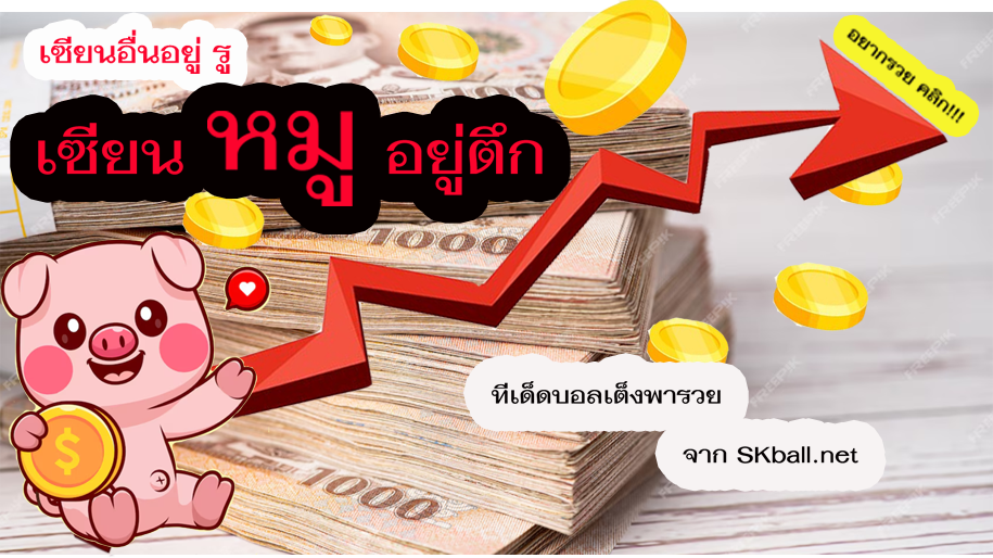 ทีเด็ดเซียนหมู